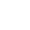 Websites icon